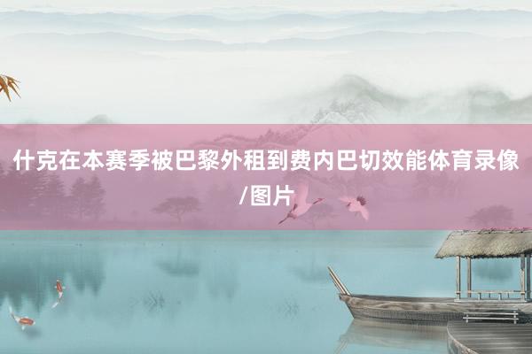 什克在本赛季被巴黎外租到费内巴切效能体育录像/图片