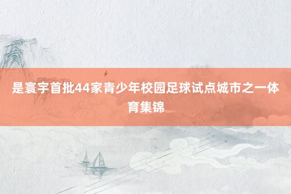 是寰宇首批44家青少年校园足球试点城市之一体育集锦