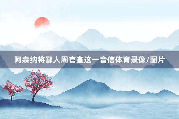 阿森纳将鄙人周官宣这一音信体育录像/图片