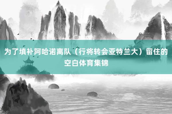 为了填补阿哈诺离队（行将转会亚特兰大）留住的空白体育集锦