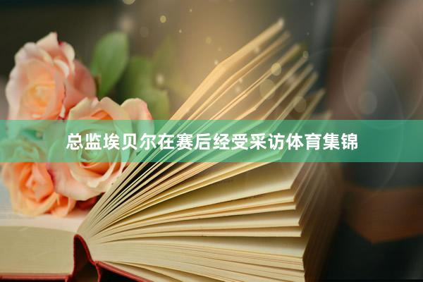总监埃贝尔在赛后经受采访体育集锦