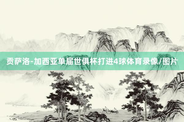 贡萨洛-加西亚单届世俱杯打进4球体育录像/图片