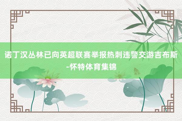 诺丁汉丛林已向英超联赛举报热刺违警交游吉布斯-怀特体育集锦