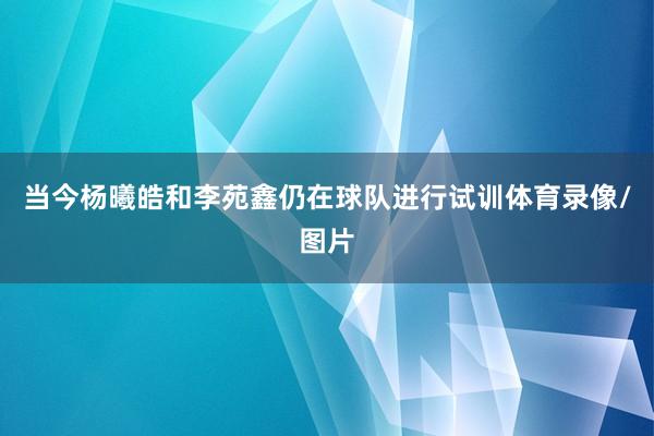 当今杨曦皓和李苑鑫仍在球队进行试训体育录像/图片