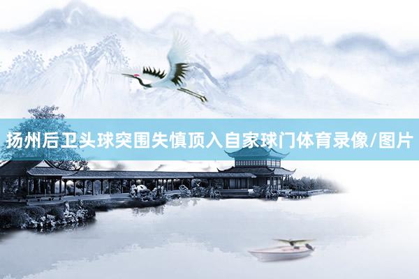 扬州后卫头球突围失慎顶入自家球门体育录像/图片