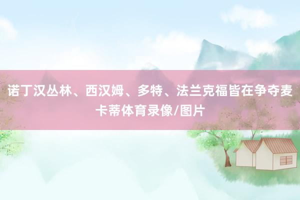 诺丁汉丛林、西汉姆、多特、法兰克福皆在争夺麦卡蒂体育录像/图片