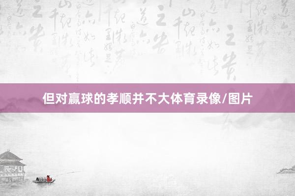 但对赢球的孝顺并不大体育录像/图片