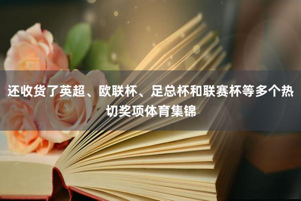 还收货了英超、欧联杯、足总杯和联赛杯等多个热切奖项体育集锦