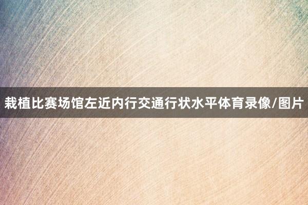 栽植比赛场馆左近内行交通行状水平体育录像/图片