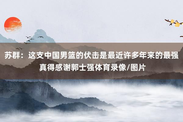 苏群：这支中国男篮的伏击是最近许多年来的最强 真得感谢郭士强体育录像/图片