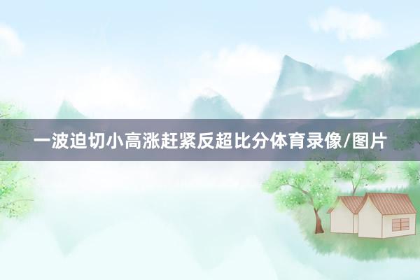 一波迫切小高涨赶紧反超比分体育录像/图片