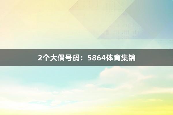 2个大偶号码:5864体育集锦