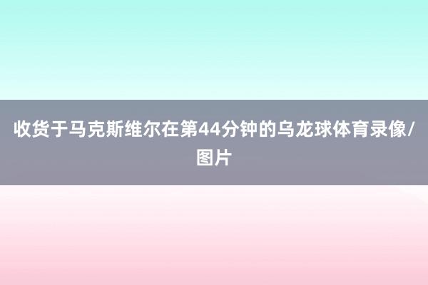 收货于马克斯维尔在第44分钟的乌龙球体育录像/图片