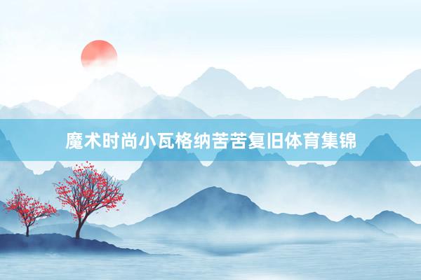 魔术时尚小瓦格纳苦苦复旧体育集锦