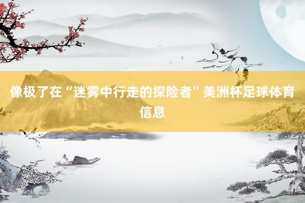 像极了在“迷雾中行走的探险者”美洲杯足球体育信息