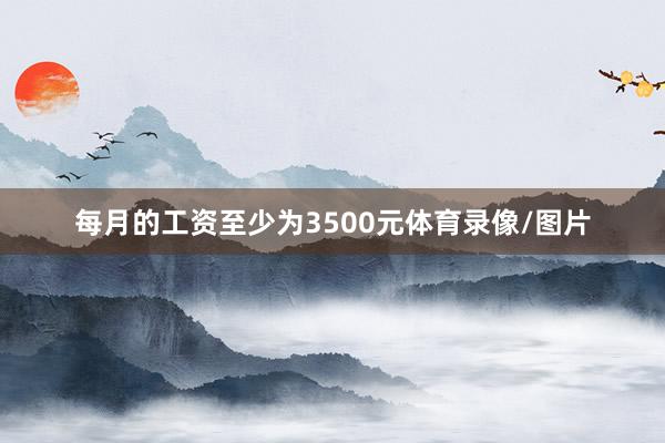 每月的工资至少为3500元体育录像/图片