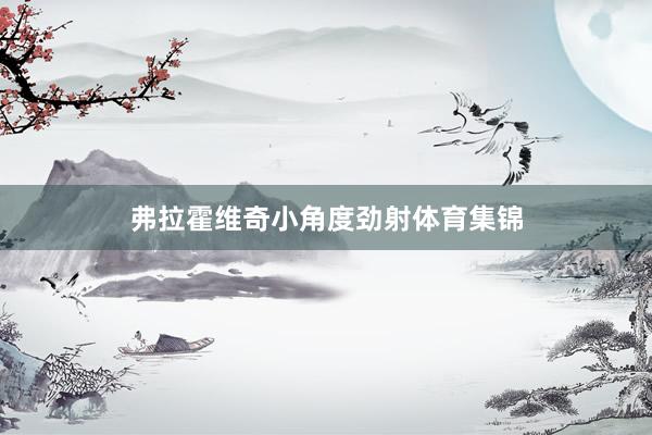 弗拉霍维奇小角度劲射体育集锦