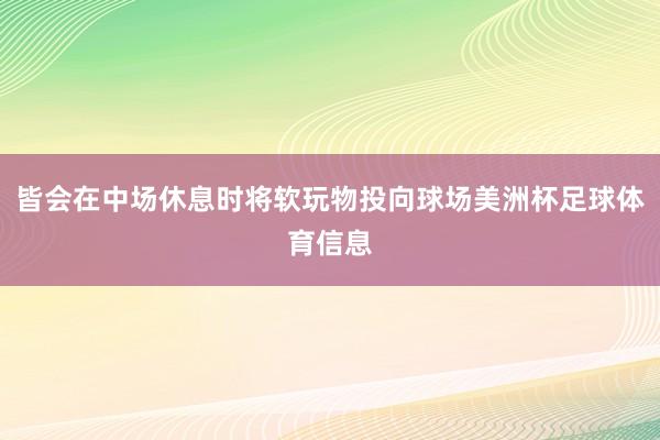 皆会在中场休息时将软玩物投向球场美洲杯足球体育信息