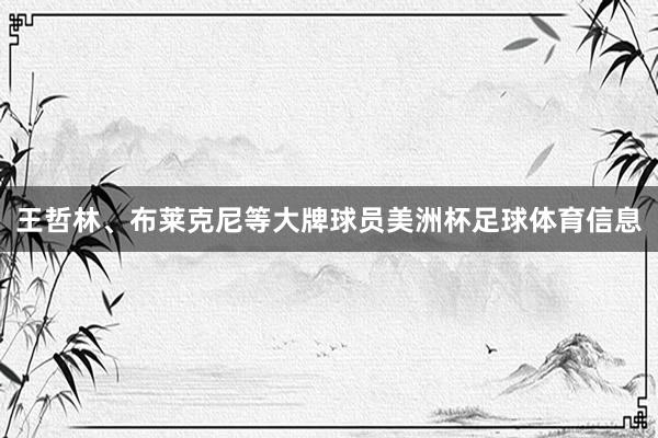 王哲林、布莱克尼等大牌球员美洲杯足球体育信息