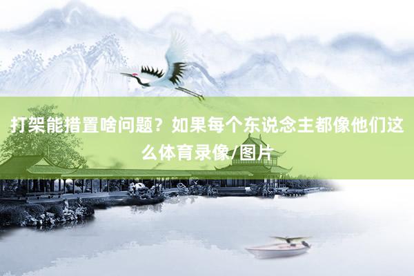 打架能措置啥问题？如果每个东说念主都像他们这么体育录像/图片