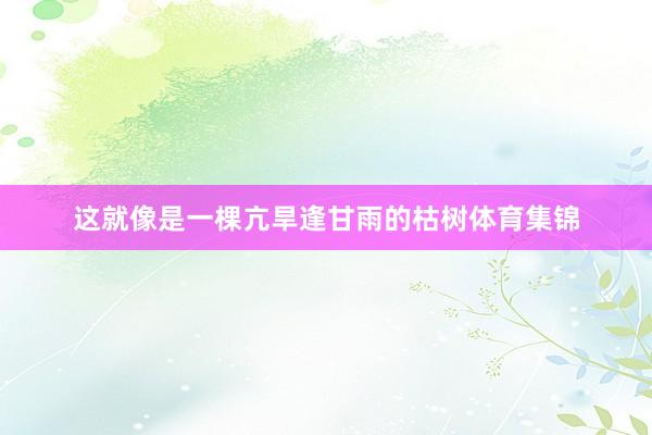 这就像是一棵亢旱逢甘雨的枯树体育集锦