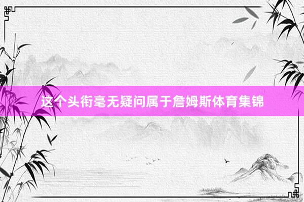 这个头衔毫无疑问属于詹姆斯体育集锦