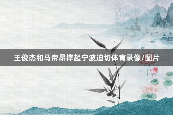 王俊杰和马帝昂撑起宁波迫切体育录像/图片