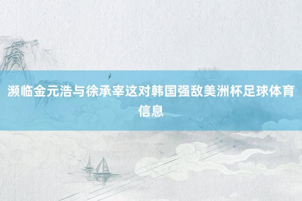 濒临金元浩与徐承宰这对韩国强敌美洲杯足球体育信息