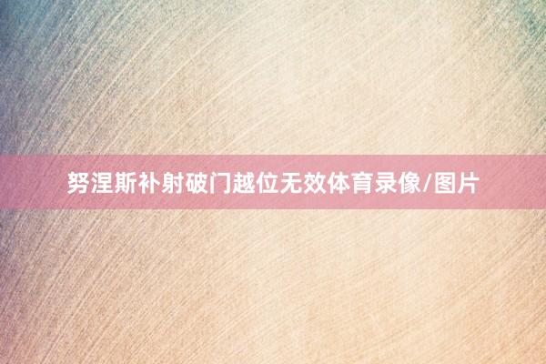 努涅斯补射破门越位无效体育录像/图片