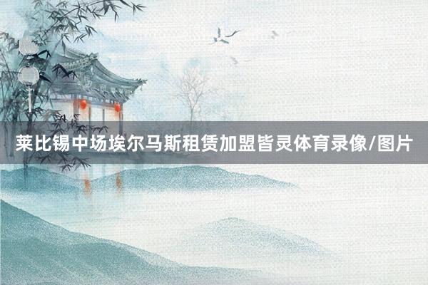 莱比锡中场埃尔马斯租赁加盟皆灵体育录像/图片