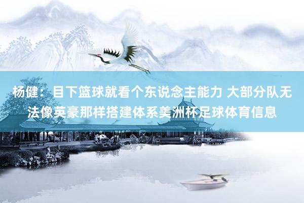 杨健：目下篮球就看个东说念主能力 大部分队无法像英豪那样搭建体系美洲杯足球体育信息