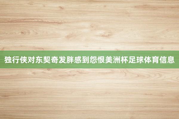 独行侠对东契奇发胖感到怨恨美洲杯足球体育信息