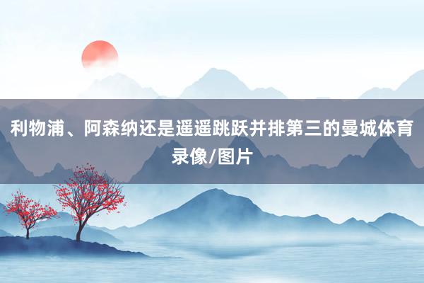利物浦、阿森纳还是遥遥跳跃并排第三的曼城体育录像/图片