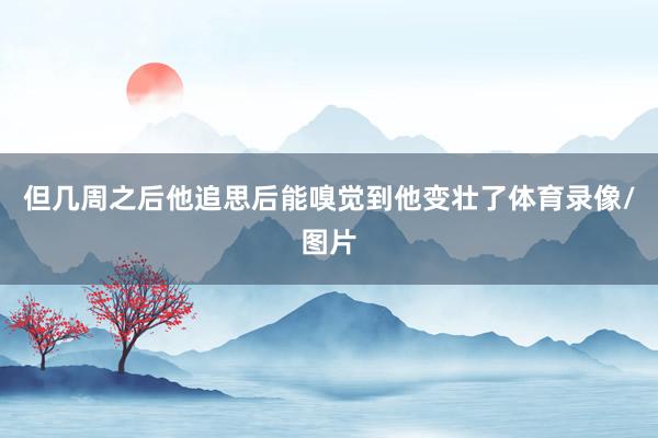 但几周之后他追思后能嗅觉到他变壮了体育录像/图片