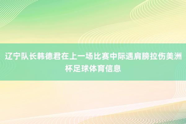 辽宁队长韩德君在上一场比赛中际遇肩膀拉伤美洲杯足球体育信息