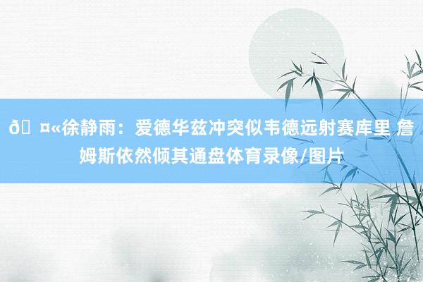 🤫徐静雨：爱德华兹冲突似韦德远射赛库里 詹姆斯依然倾其通盘体育录像/图片