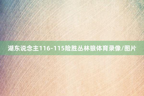 湖东说念主116-115险胜丛林狼体育录像/图片