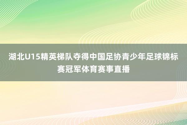 湖北U15精英梯队夺得中国足协青少年足球锦标赛冠军体育赛事直播