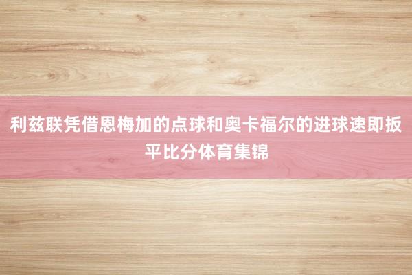 利兹联凭借恩梅加的点球和奥卡福尔的进球速即扳平比分体育集锦