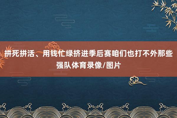 拼死拼活、用钱忙绿挤进季后赛咱们也打不外那些强队体育录像/图片